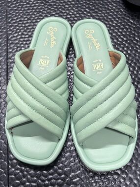 NWOB Seychelles Word for Word Cucumber Leather Sandals size 7